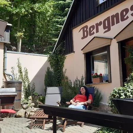 Bergnest Bungalow Ferienhaus Bad Gottleuba